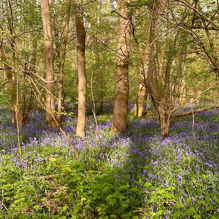 Bluebell Annexe Villa Little Grandsen Eksteriør bilde